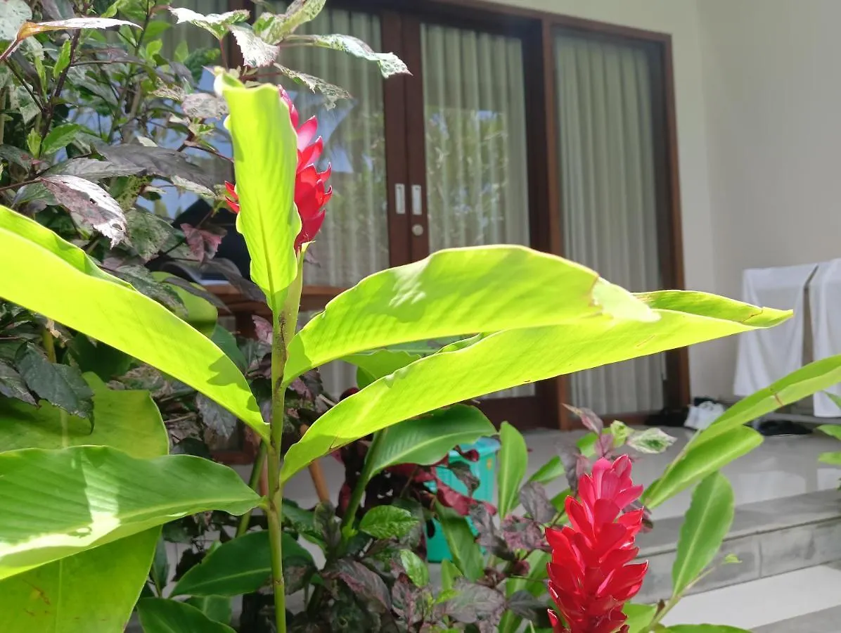 Kama Ayu Bungalow Ubud